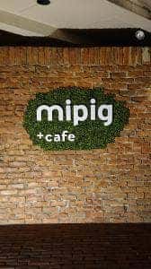 mipig cafe 原宿店