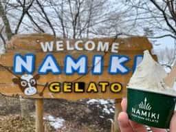 手作りジェラート店 ナミキ