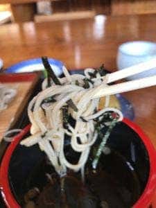 八溝しいたけ ますや