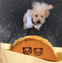 パンダ商店