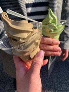 中村藤吉 平等院店