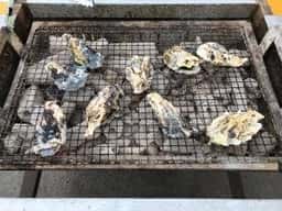 飛龍丸