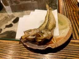魚々楽