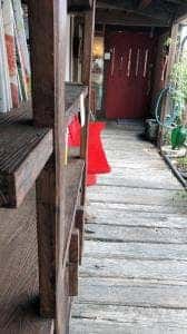 つるりんどう