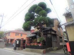 松籟~まつのおと~