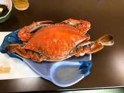 旅館・御食事処 田中屋