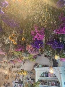 LUCE BOTANIX