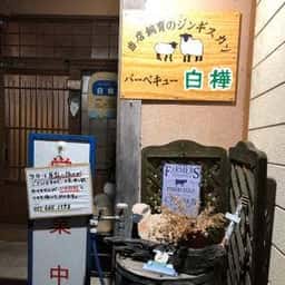 白樺