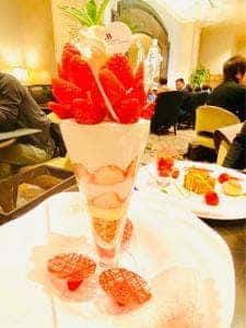 SCENERY/シーナリー