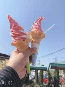 いちごの里 よしみ