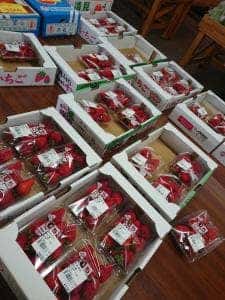 ロードサイドマーケット 岡山市サウスヴィレッジ