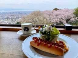 かぐや 岩本山カフェ