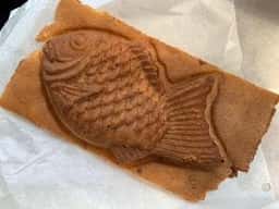 わかつき