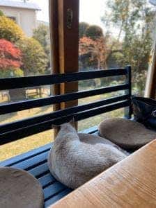 Catnip Garden Cafe
