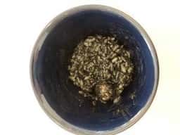Felicita