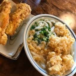 手打ちうどん 白椿