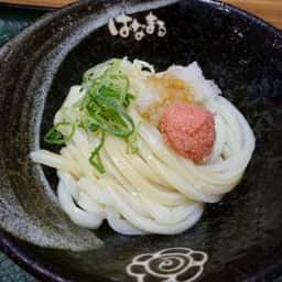 はなまるうどん MIDORI長野店