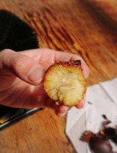 そば処 石畳むら