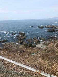 福寿草ドライブイン