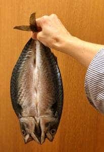 ひもの塾 伊勢店