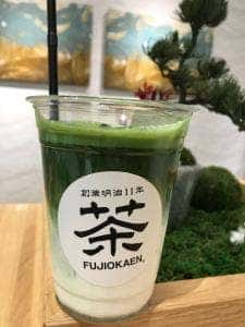 FUJIOKAEN