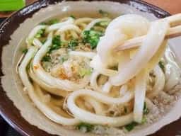 手打ちうどん えびす