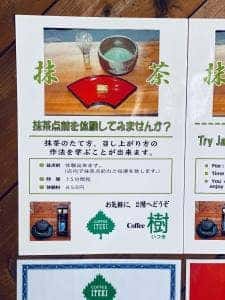 樹