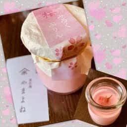 やまよね