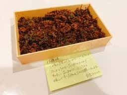 割烹 TAJIMA
