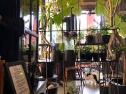 ボタニカルアイテム&カフェ シアン