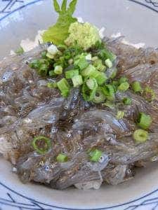 EXPASA富士川 SA上り 日近商店