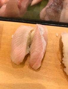柳鮨