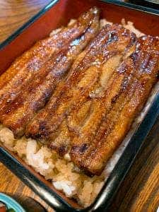 うなぎ菊水