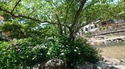 あけぼのカフェ