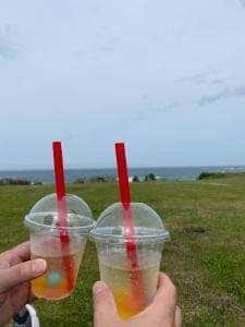 海カフェ たねさし