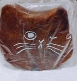 ねこねこ食パン あべのキューズモール店