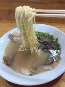 跳豚
