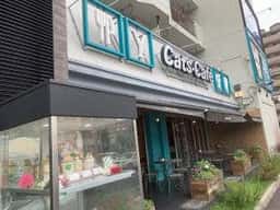 キャッツカフェ港店