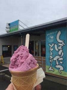 DAIRY FAMILY ミルクパレット