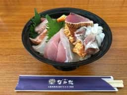 お魚のなかだ