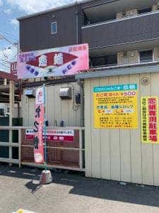 恋蛸