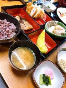 お食事処 木の下