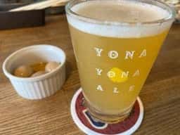 YELLOW APE CRAFT