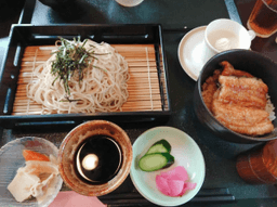 山本家