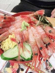 越前三国湊 海船や