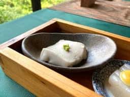 山燈花