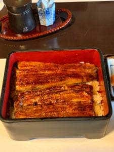 うな菊