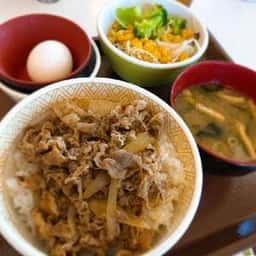 すき家 竜ヶ崎馴柴店