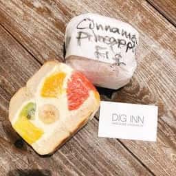 DIG INN
