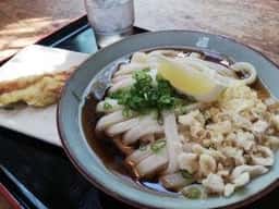 三野うどん いちふじ